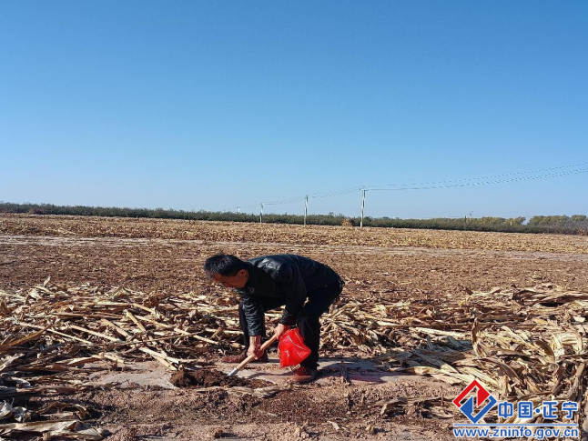 正宁县完成耕地质量监测点土样采集工作