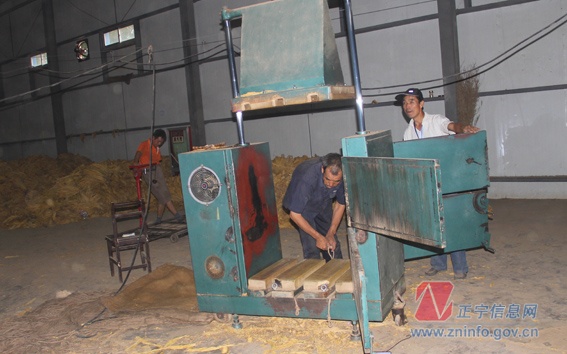 张龙杰督查烤烟收购工作