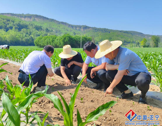 56b0fbcbc96c4e1b9d860caa17701d8b.png 56b0fbcbc96c4e1b9d860caa17701d8b.png