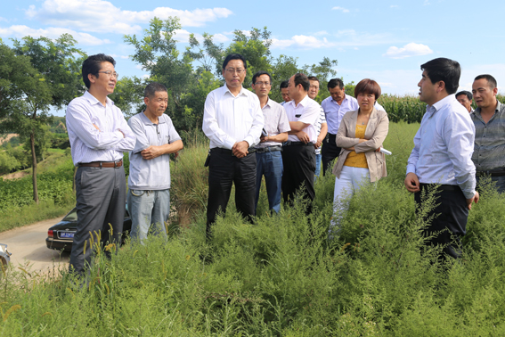 段登云、曹育铮督查调研秋季农业农村重点工作