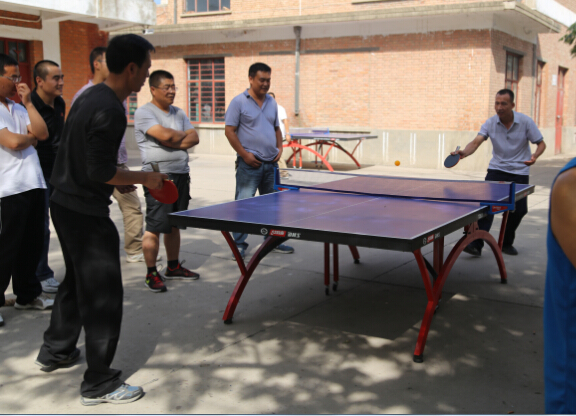 县政府机关秋季运动会精彩纷呈