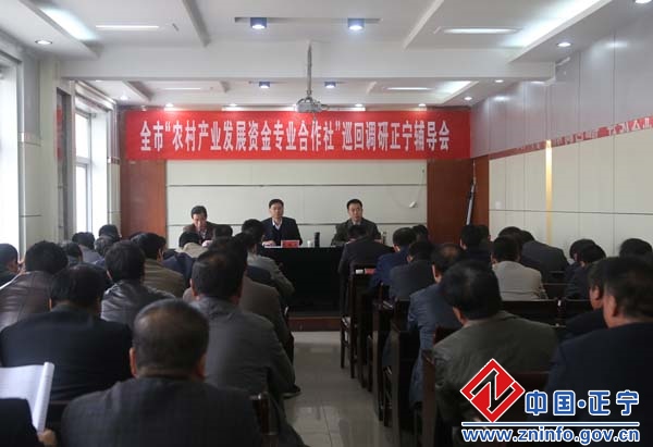 副市长朱国庆到正宁县调研农村产业发展资金专业合作社试点工作
