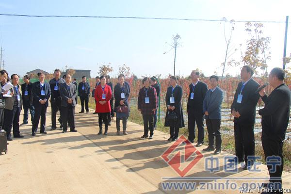 县人大代表 政协委员联合视察全县重点项目建设情况