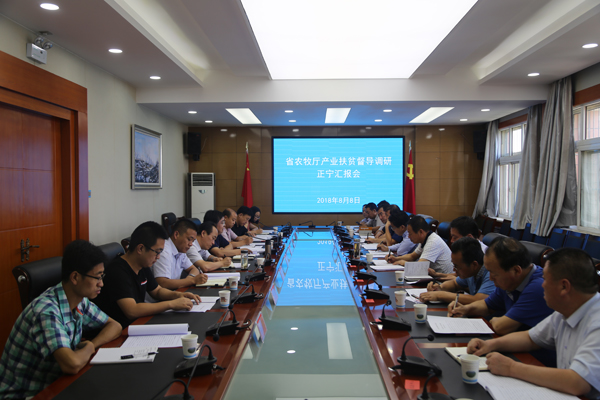 省农牧厅督导组来我县调研产业扶贫工作
