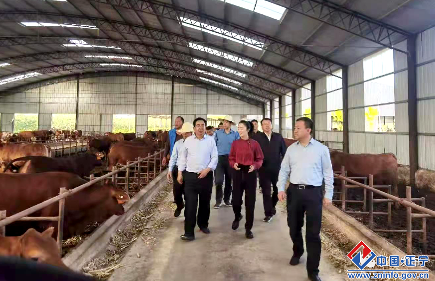 30b928b94b6f44bdbf6c00e8c3dd8679.png 30b928b94b6f44bdbf6c00e8c3dd8679.png