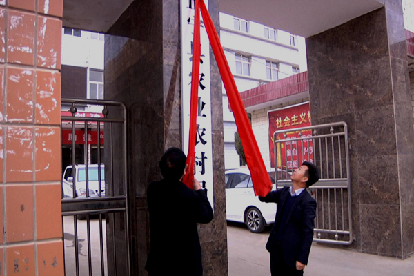 正宁县举行新组建机构集中挂牌仪式