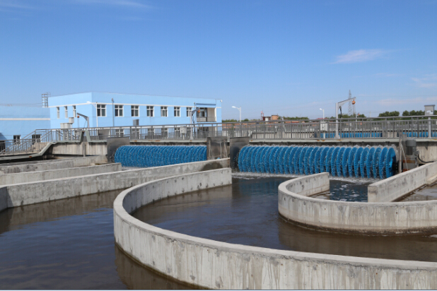 张龙杰督查县城重点建设项目