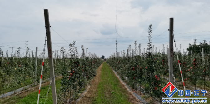 a667a6941b8b45b795a4f5a9348cba4a.png a667a6941b8b45b795a4f5a9348cba4a.png