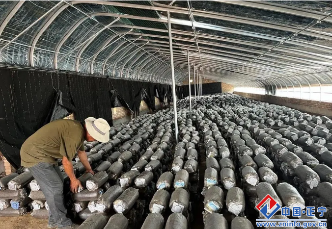 3cbf9cb39e2e4b30962e415420b32ef6.png 3cbf9cb39e2e4b30962e415420b32ef6.png