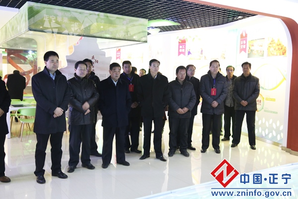 省市人大代表视察正宁县重大项目建设情况