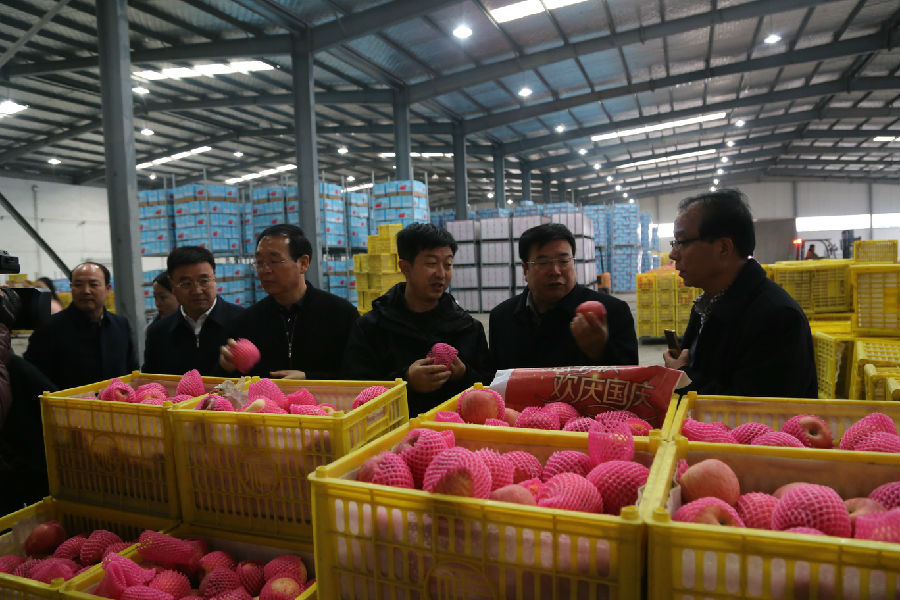 陕西省彬县考察团赴我县商洽农业龙头企业跨省扶贫农业园区合作事宜