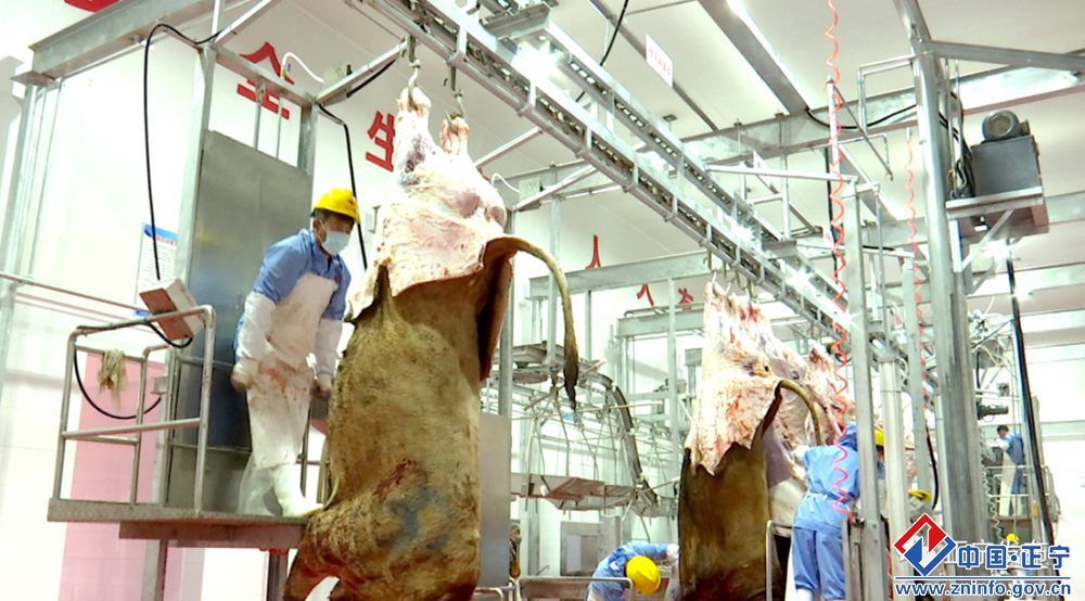 97e4b69b800046628e531e42d1f2c8d9.png 97e4b69b800046628e531e42d1f2c8d9.png