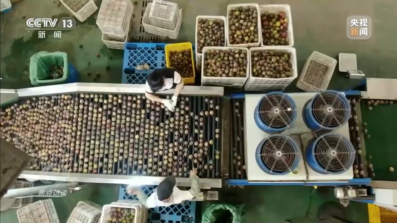 让一亿人稳定脱贫 中国有独特的“方法论”