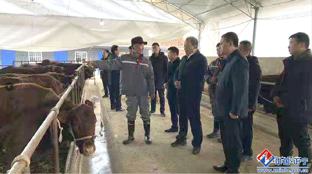 8236dbc5f144447091a81cadb15abd0c.png 8236dbc5f144447091a81cadb15abd0c.png