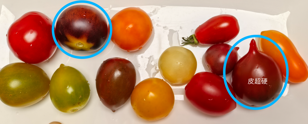 减肥好搭子!这个水果低卡高纤还美味 多吃不怕胖