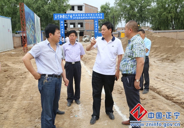 蔡文辉督查县城重点项目建设