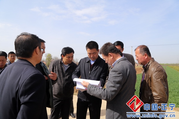 张龙杰督查甜罗高速正宁段和南罗公路建设工作