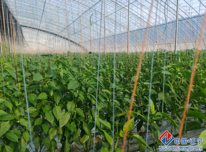 012f9e894b654bf5a57aacd4aaa4bcc0.png 012f9e894b654bf5a57aacd4aaa4bcc0.png