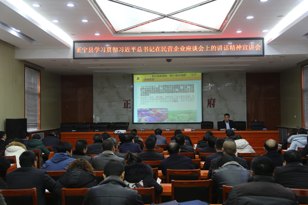 我县举行学习贯彻习近平总书记在民营企业座谈会上的讲话精神宣讲会