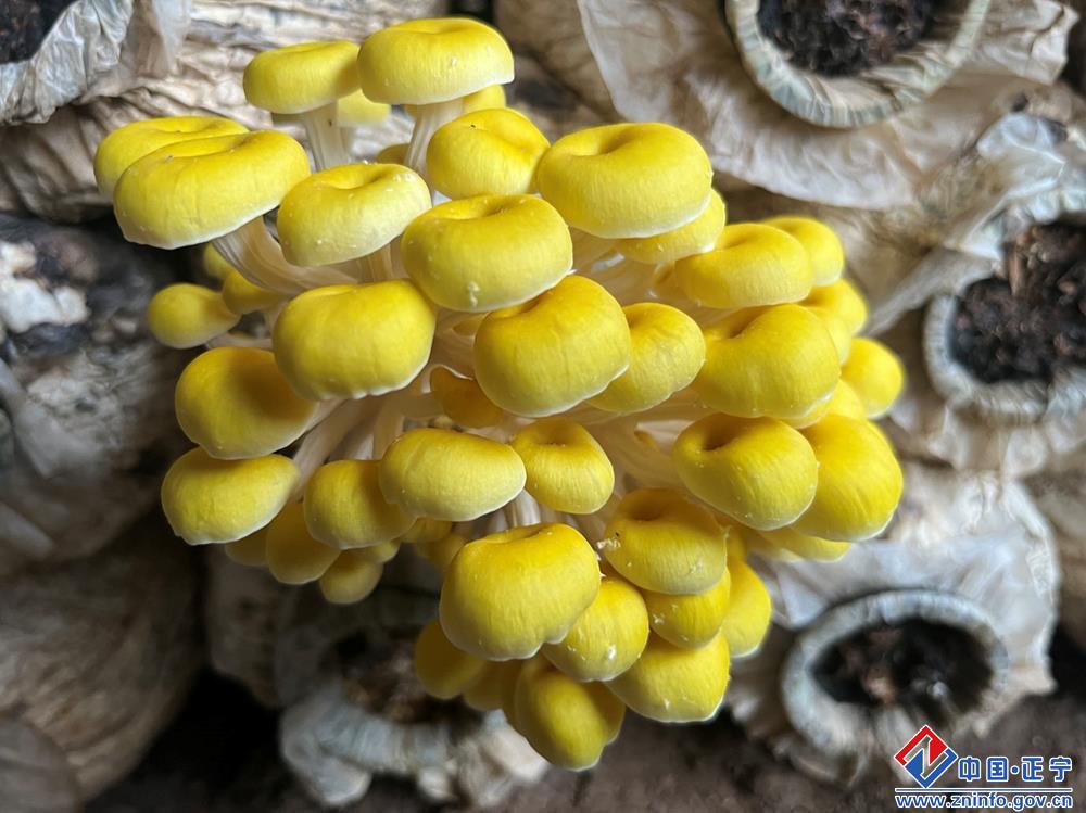 97778a7e1b1c4f679b96dc47cebed97e.jpg 97778a7e1b1c4f679b96dc47cebed97e.jpg