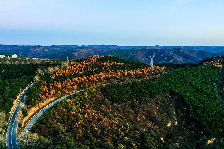 民政部制定《社会团体年度检查办法》 持续推动社会团体规范化建设