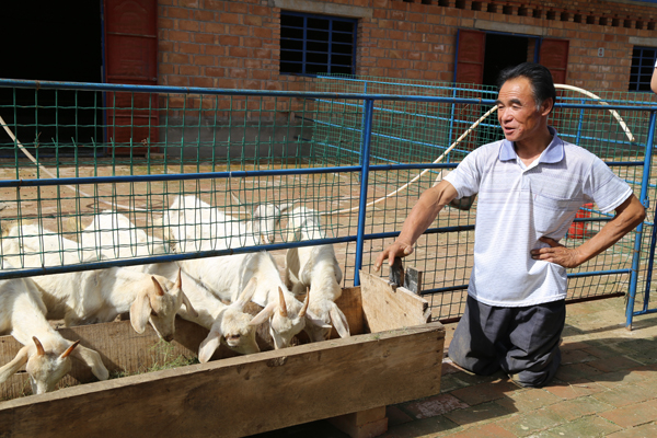 段登云、曹育铮督查调研南塬4乡镇农业农村重点工作