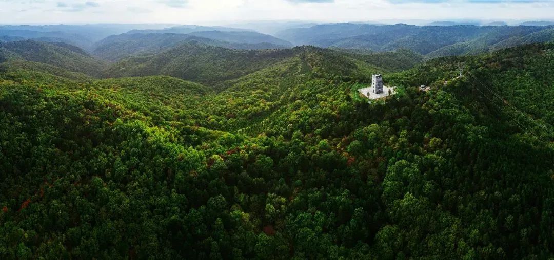 正宁县县属国有企业深化改革提质效促发展
