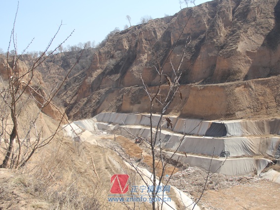 肖铮督查正宁环保工作