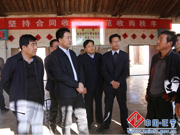 张龙杰督查全县烤烟收购工作