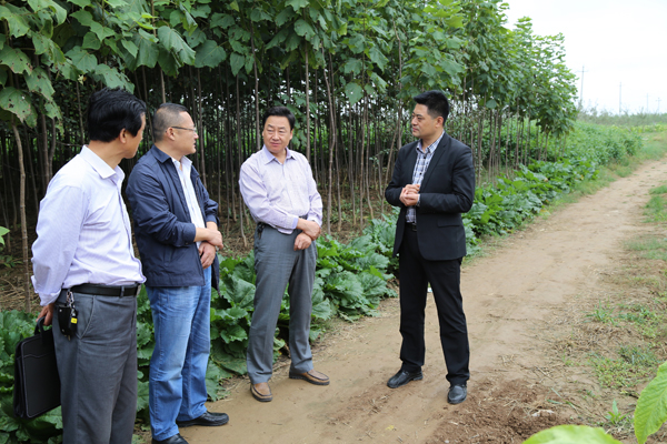 马光荣路小勃督查乡镇招商引资工作