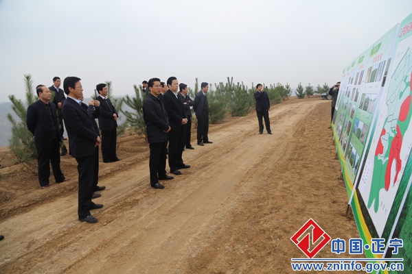 20150401113001892.jpg 樊德民带队观摩我县苗林结合培育工作