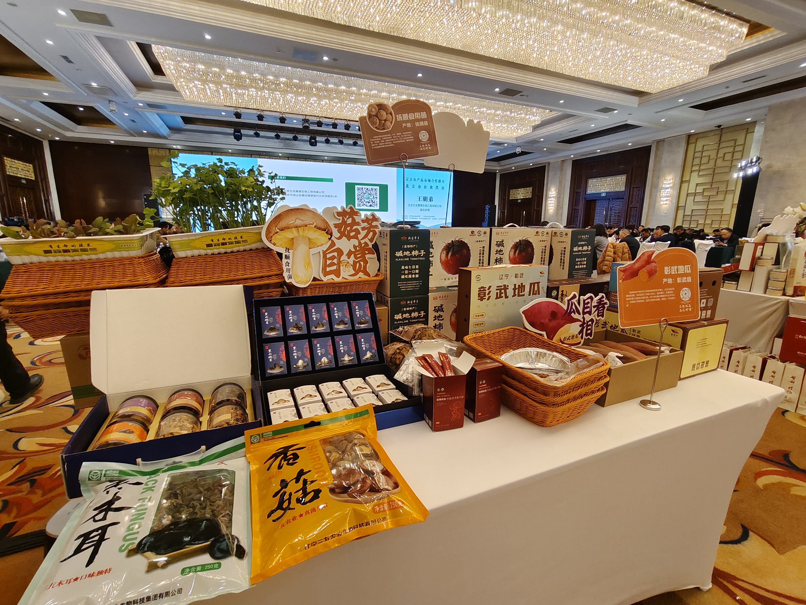 辽京农业合作全链协同启新篇 赋能区域发展畅通国内大循环——辽农优品 “京”彩纷呈