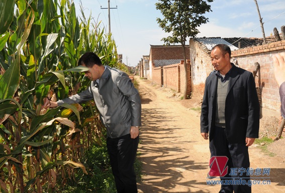 张龙杰走访“双联”户