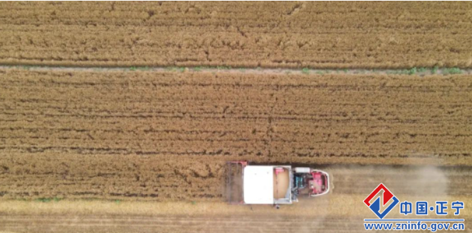 正宁县多措并举守红线筑底线端牢手中饭碗