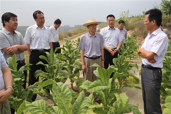 张平督查指导正宁县林业工作