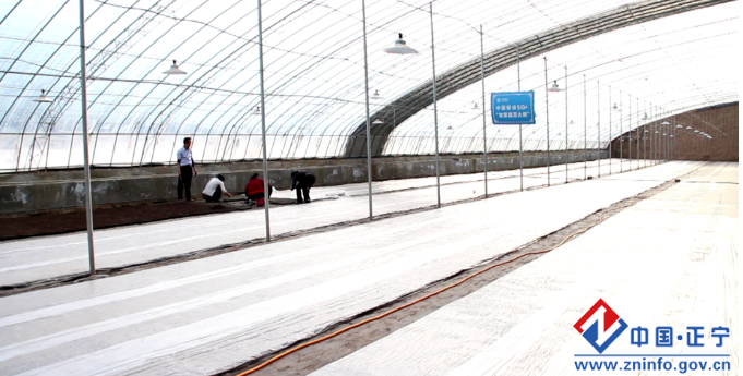 7320cd15124b4dd4b9cf8a40b514e28d.png 7320cd15124b4dd4b9cf8a40b514e28d.png