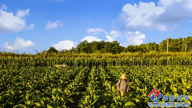 683cc6ed5540449ca556d809d6df1c15.png 683cc6ed5540449ca556d809d6df1c15.png