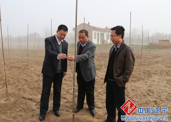 张龙杰调研督查春季农业生产工作