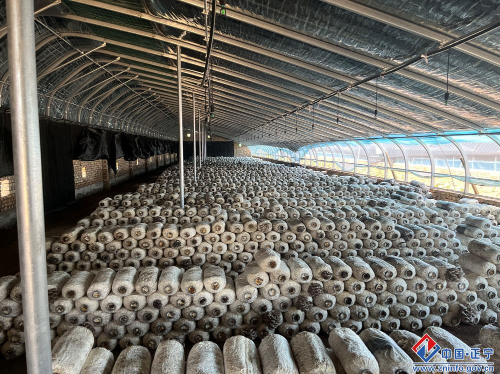 bd5ba1629a014110b0dcb8ff1c5220bd.jpg bd5ba1629a014110b0dcb8ff1c5220bd.jpg