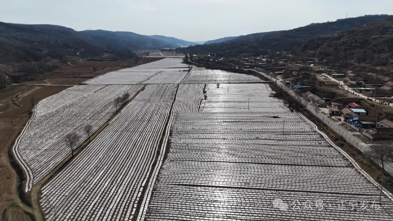 正宁:抢墒抢时春耕忙 顶凌覆膜掀热潮