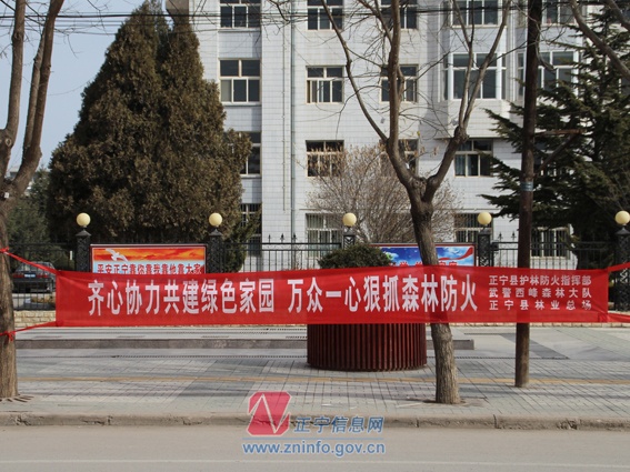 正宁县“3.12植树节”开展森林防火宣传