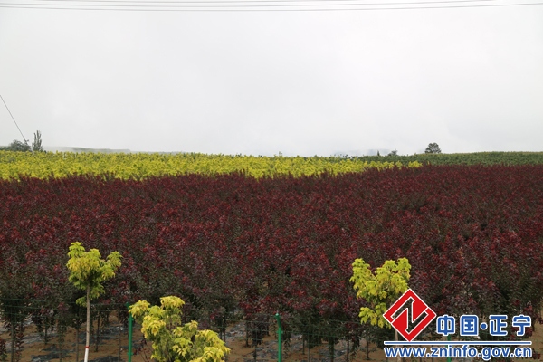 省委老干部局组织省级老同志来我县参观考察