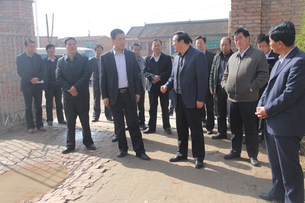 张龙杰督查县城重点项目建设