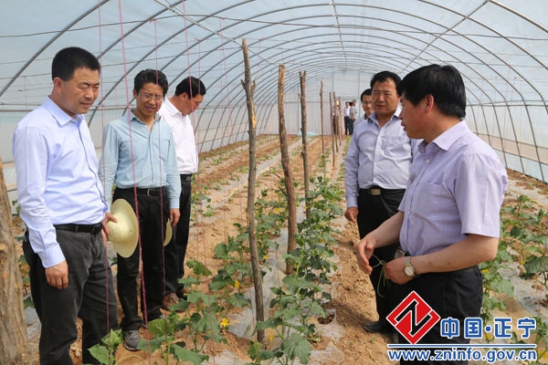 张龙杰督查全县上半年重点工作