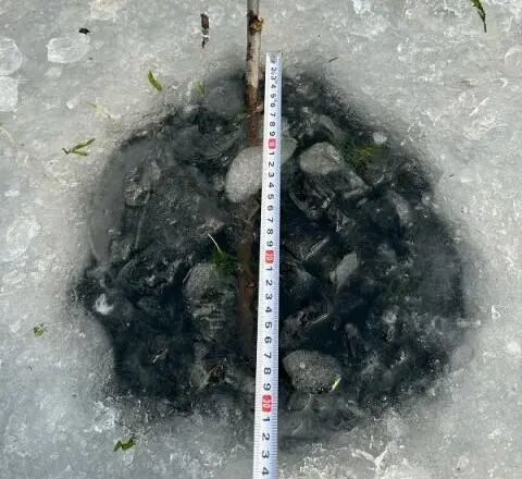 野冰别碰！气温回暖冰面 “瘦身”来自春天的“官方劝退”