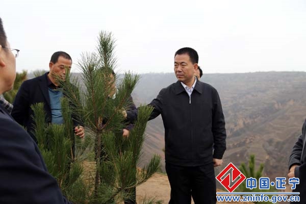 张龙杰督查栽果造林工作