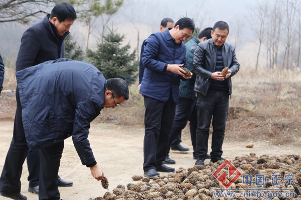 蔡文辉现场踏勘城乡建设项目