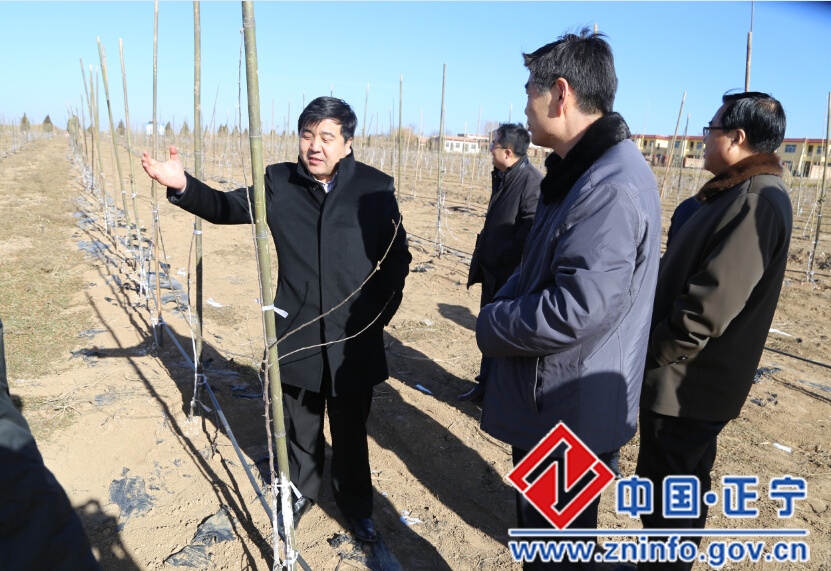 刘年先一行督查正宁扶贫攻坚重点目标任务完成情况