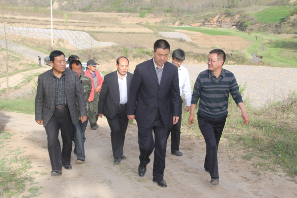 张龙杰深入帮扶联系点开展调研　　