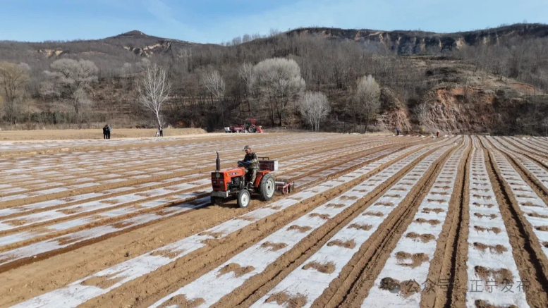 正宁:抢墒抢时春耕忙 顶凌覆膜掀热潮